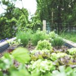 Composteur de Jardin 600L Bois Traité