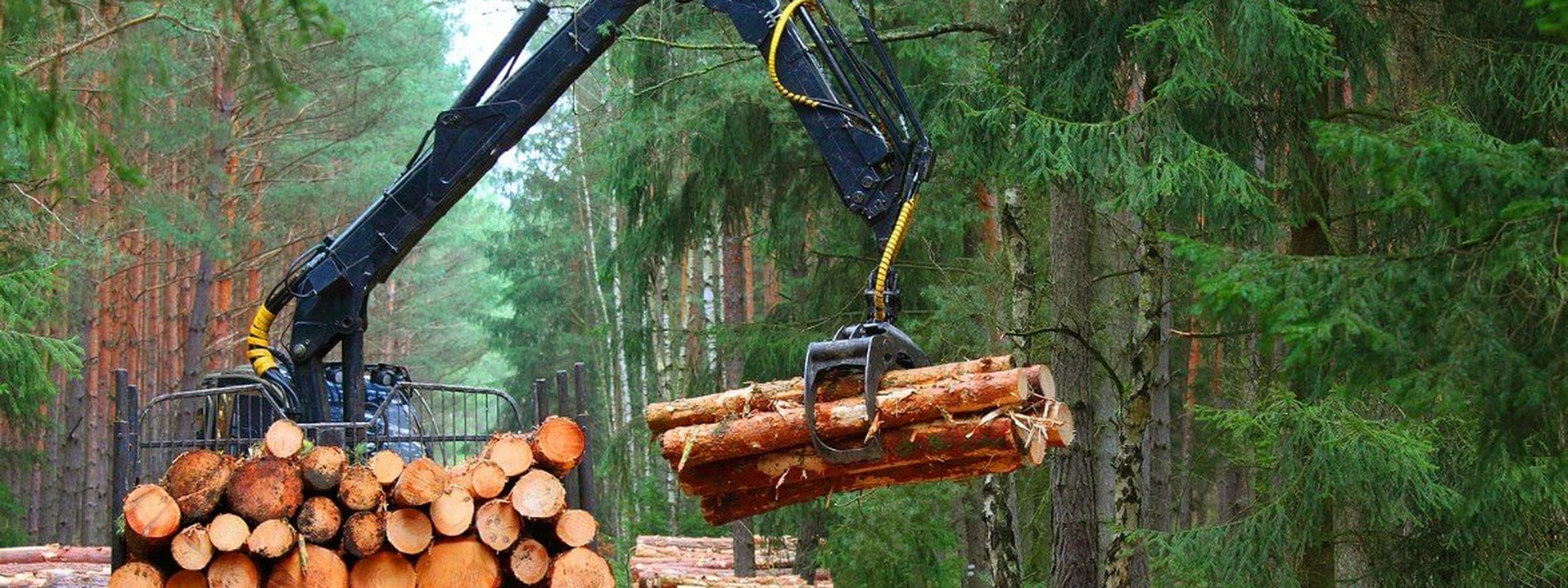 Grappin forestier chargeant des grumes de bois - ART Materiels